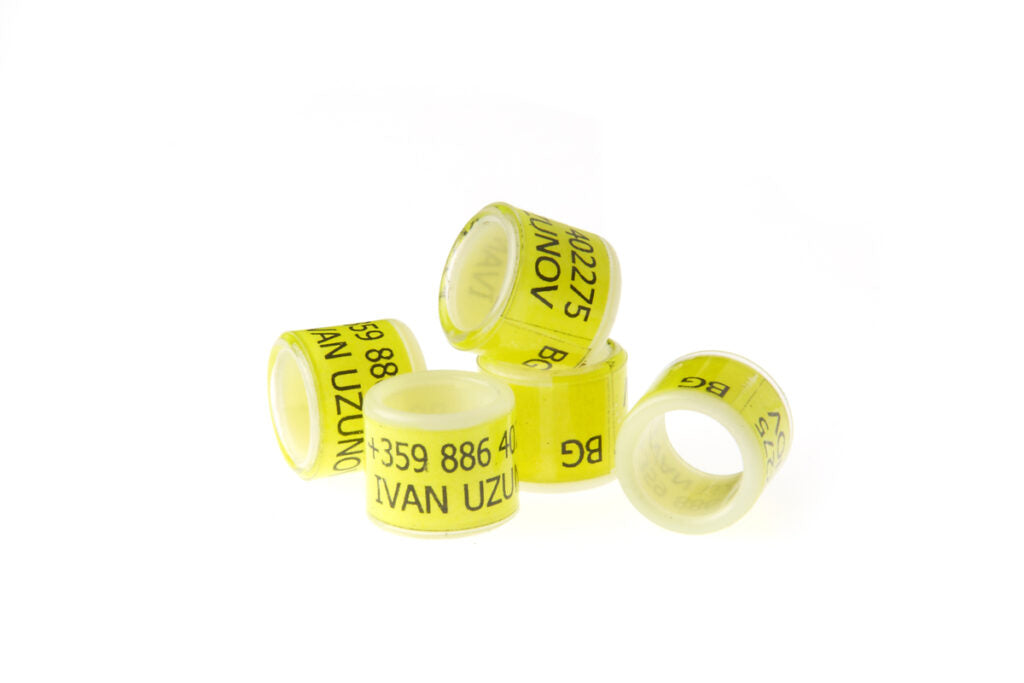 Wholesale Bulk Plastic Base Plastic Coating Leg Bands, Blank Color Bands, Racing Bands, Hatching Bands