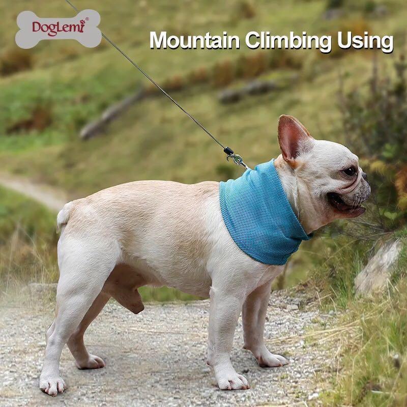 Wholesale Instant Cooling Pet Bandana-Dog Scarf Summer Cooling Towel Wrap Dog Collar for Bulldog Puppy Cats etc