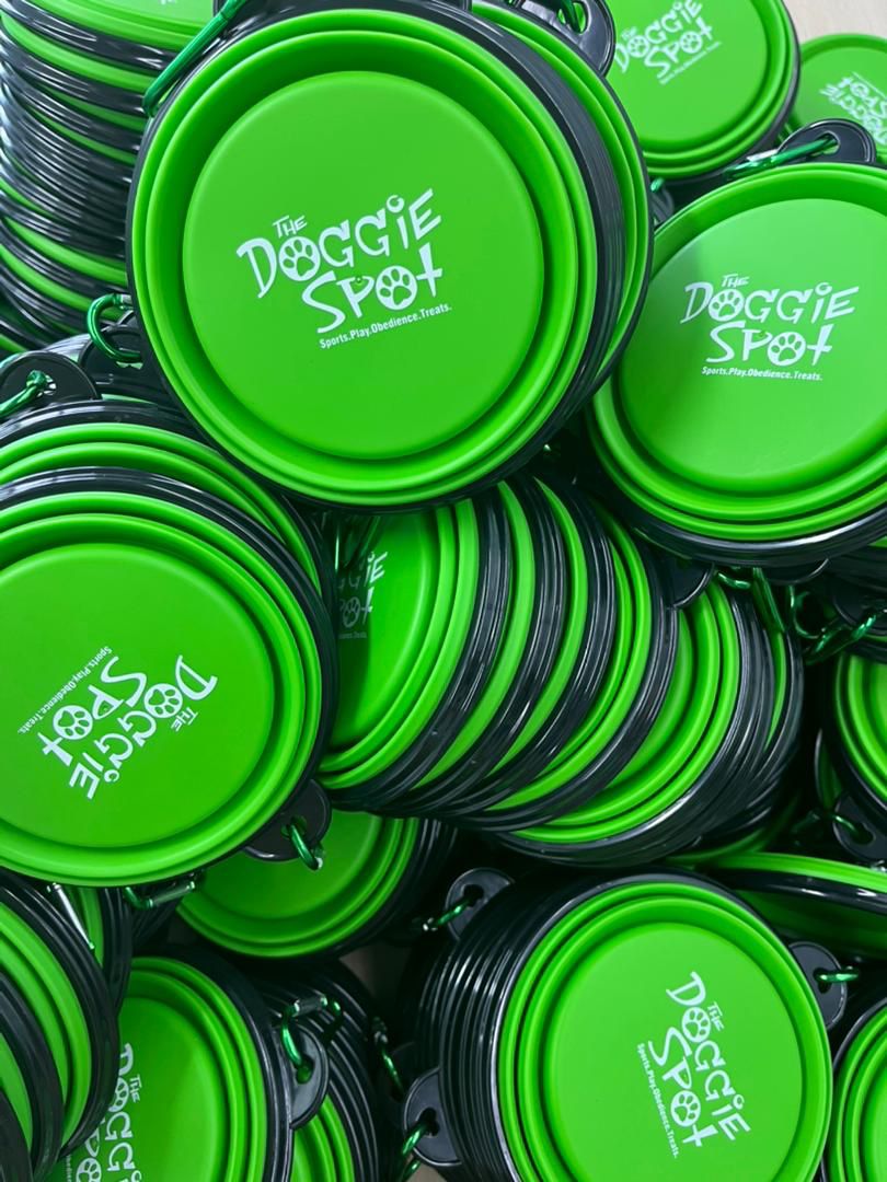 Promotional Custom Logo Collapsible Travel Dog Bowls Portable Food & Water Bowls