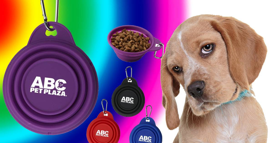 The Best Dog's Promotional Products For All Times