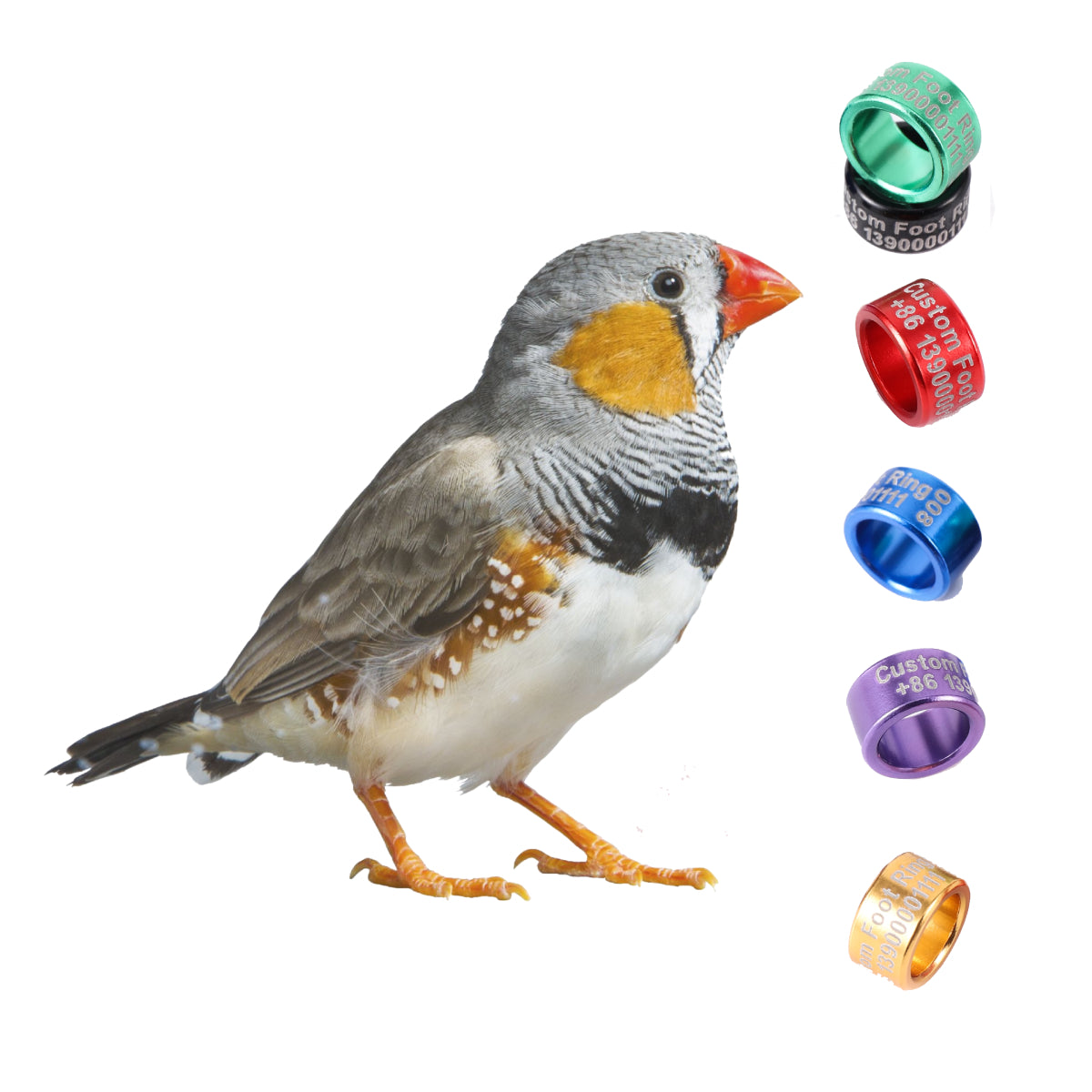 Large Bird Rings Wholesale Bird Bands | Custom Bird Rings | Personlized Pigeon Rings ...