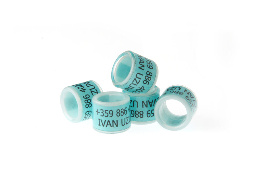 Wholesale Bulk Plastic Base Plastic Coating Leg Bands, Blank Color Bands, Racing Bands, Hatching Bands