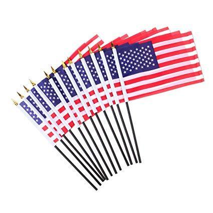 Custom Logo Hand Flags