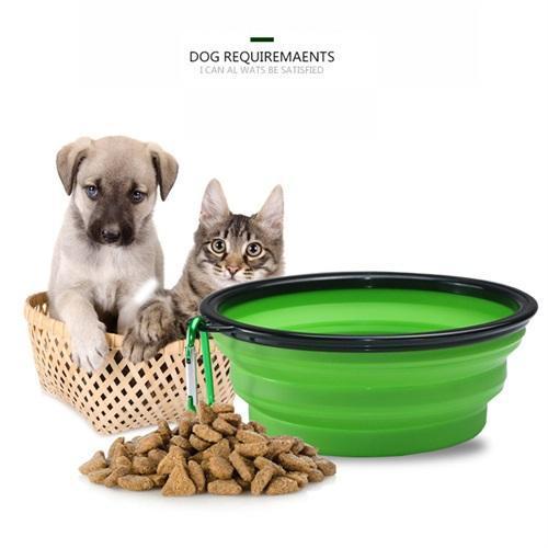 dog and cat bowls