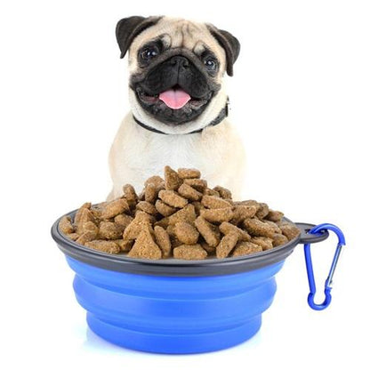 dog bowls