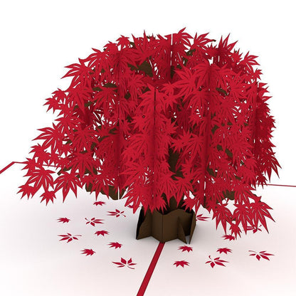 Promotional Custom 3D Pop Up Paper Greeting Cards For Multi Purpose Use