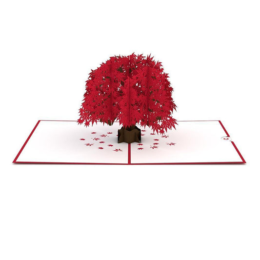 Promotional Custom 3D Pop Up Paper Greeting Cards For Multi Purpose Use