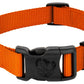 Custom Logo Dog Collars, Adjustable Promotional Colorful Dog Collars, Stylish And Safe Collars