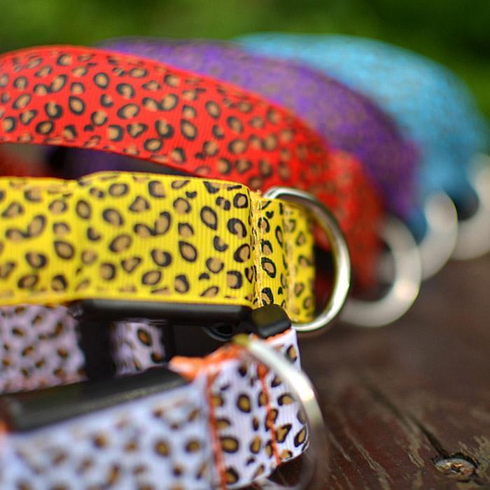 Wholesale Led Pet Collars