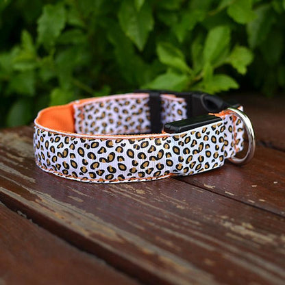 Wholesale Led Pet Collar orange