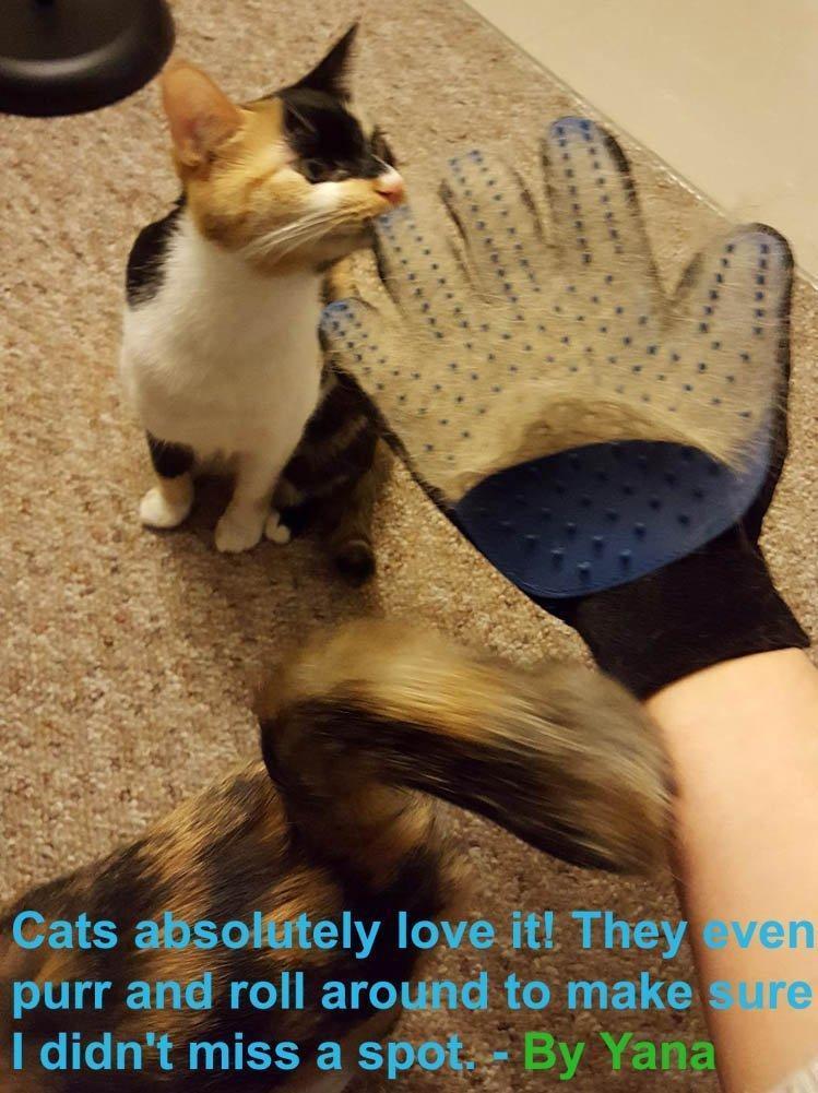 Bulk Pet Grooming Glove, Pet Hair Remover Mitt