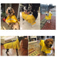 Waterproof Clothes Lightweight Rain Jacket Poncho with Strip Reflective